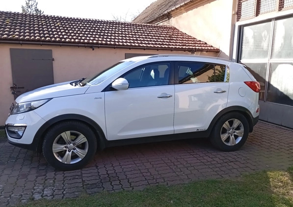 Kia Sportage cena 49900 przebieg: 204000, rok produkcji 2013 z Witnica małe 407